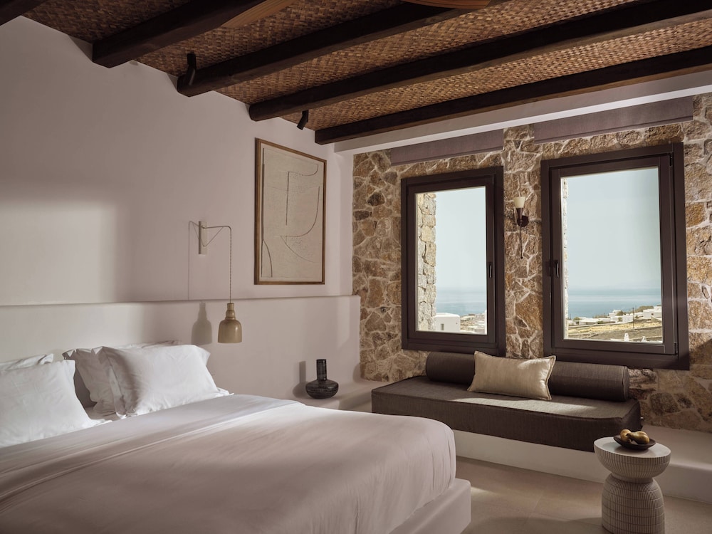 Anemelia Mykonos Hotel 7/50
