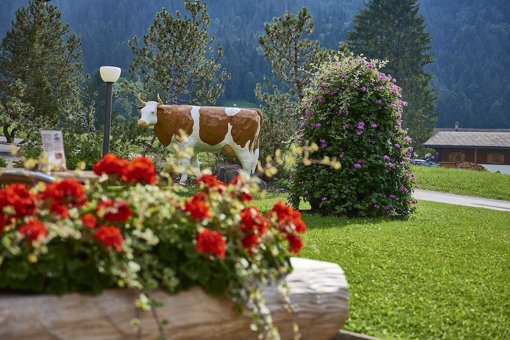 EUROTEL VICTORIA LES DIABLERETS 23/64