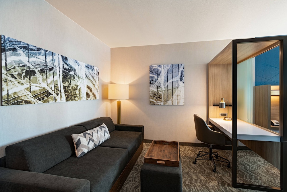 SpringHill Suites by Marriott Dallas Richardson/University Area 30/51