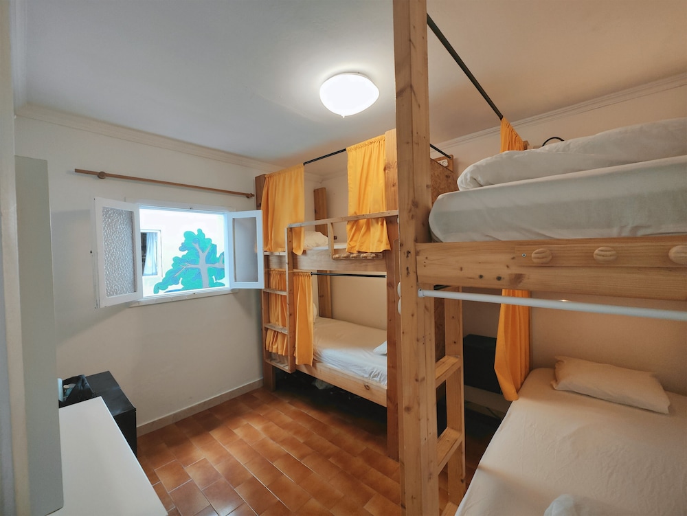 Avocado Surf Hostel 11/50