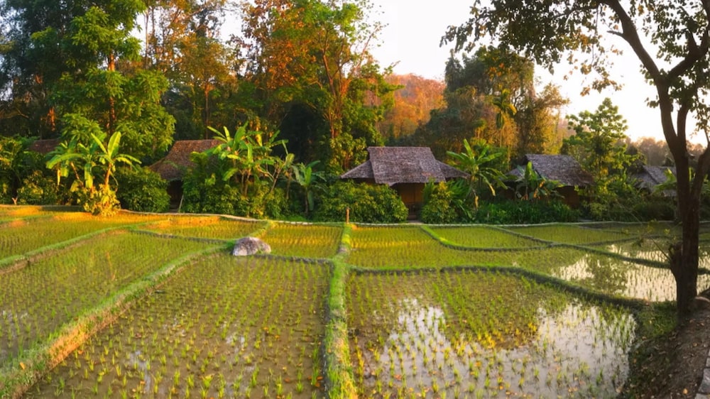 Fern Resort Mae Hong Son 50/67