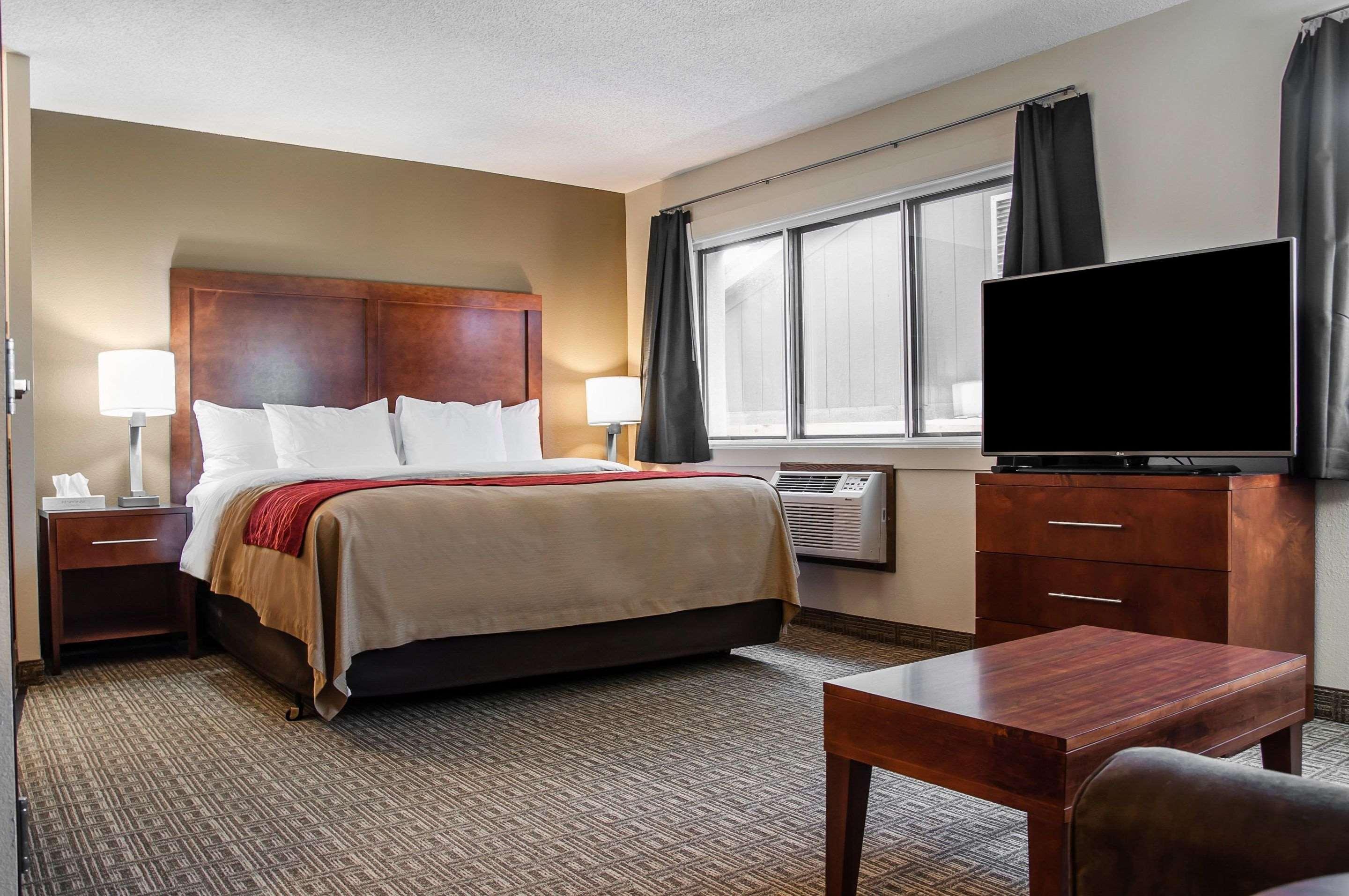 Efficiency, Suite, King Bed