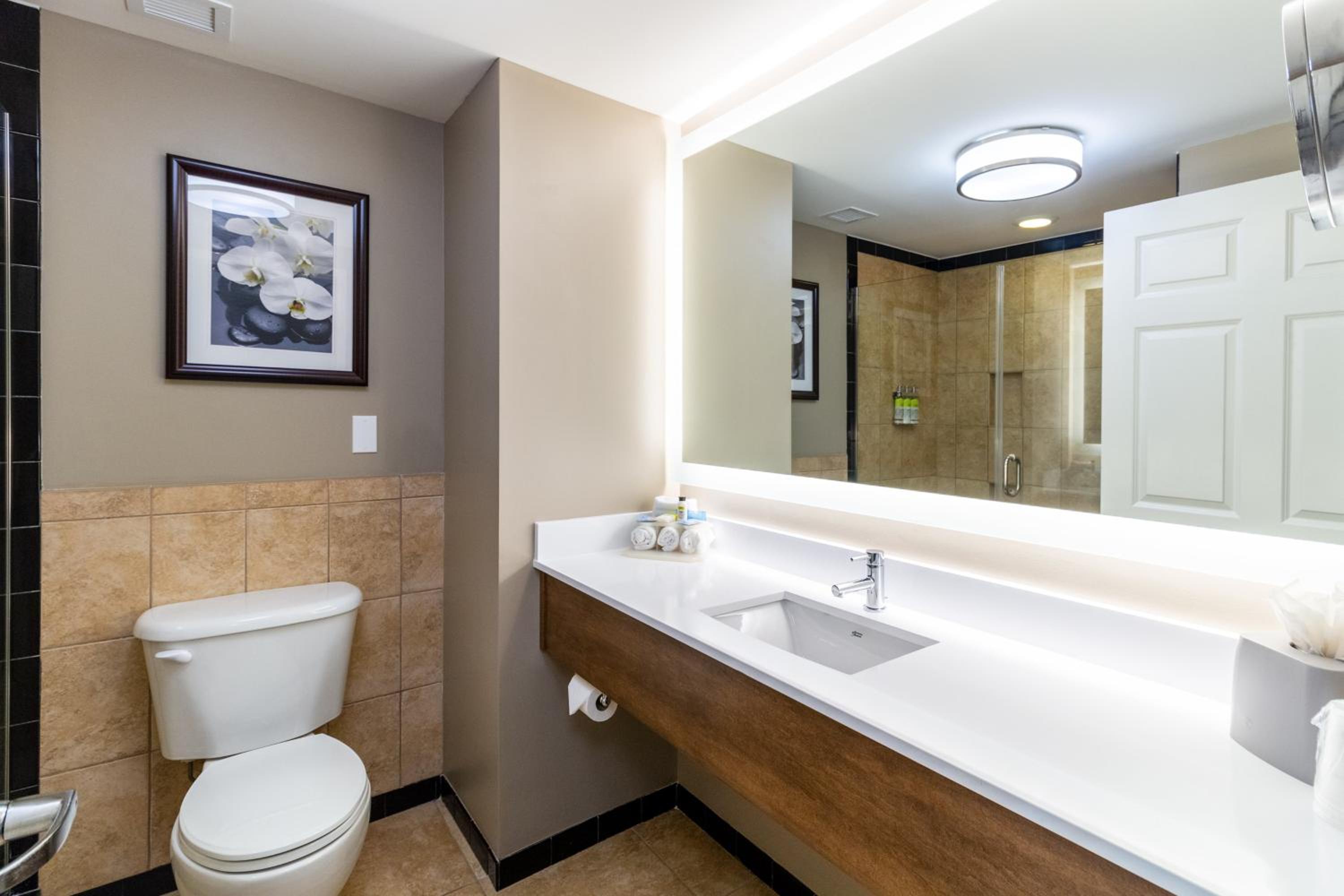 غرفة سوبيريور بسرير كينج، Holiday Inn Express Savannah Historic District 9/10