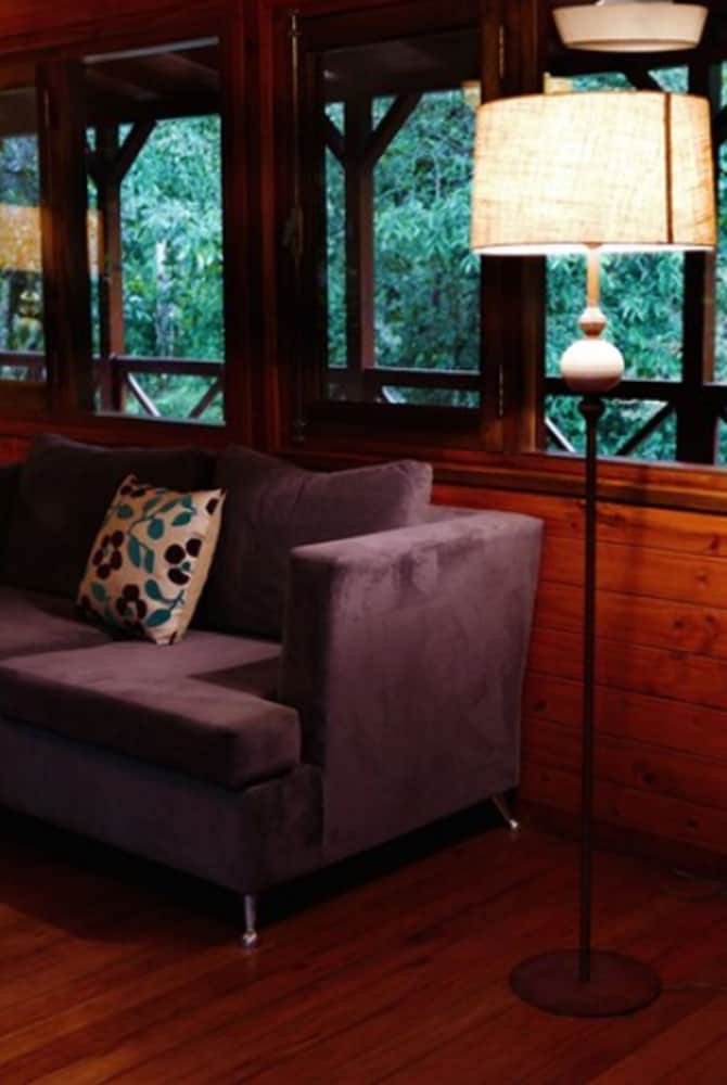 Selva de Laurel 39/71