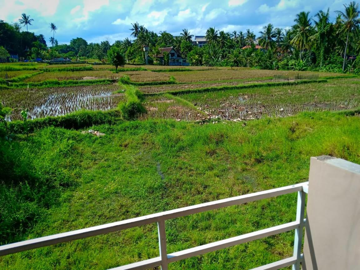 Uma Kutuh 2 35/50