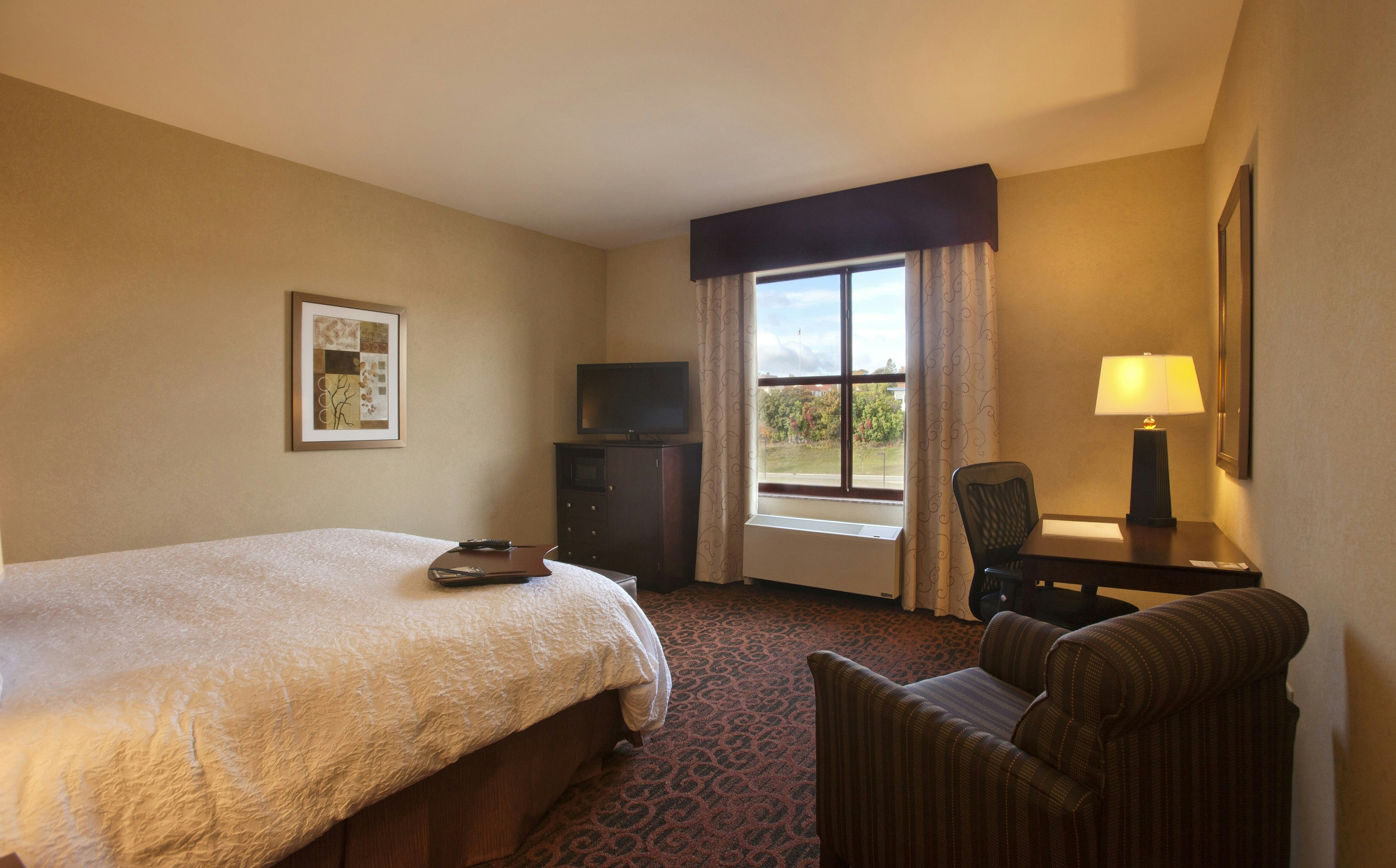 Room, King Bed