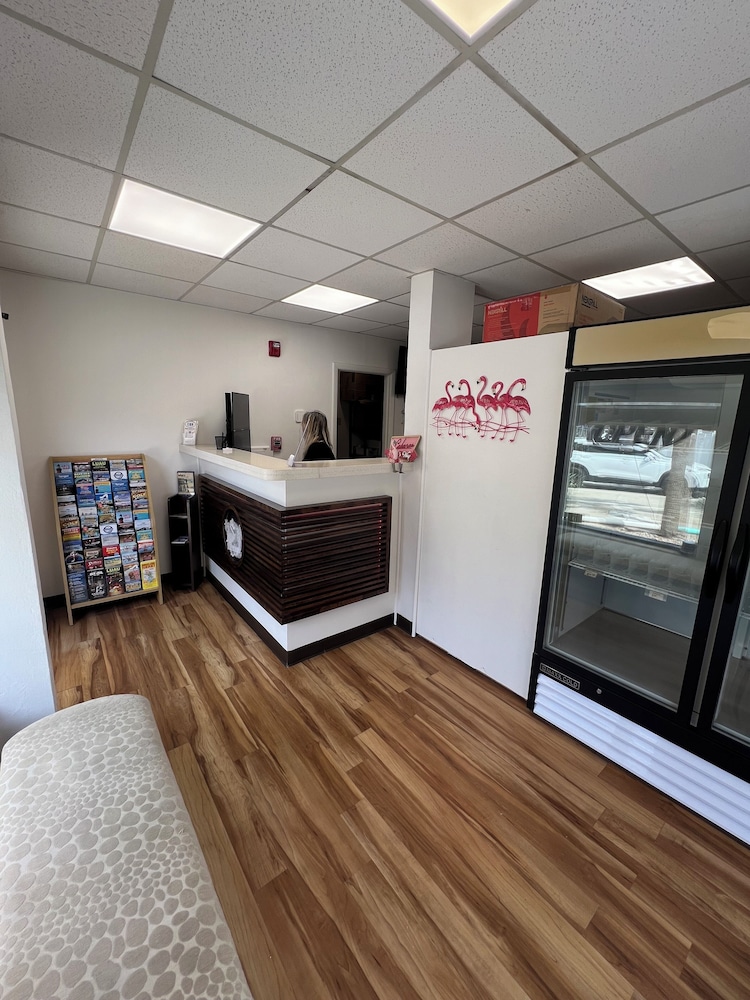 Flamingo Inn 6/50