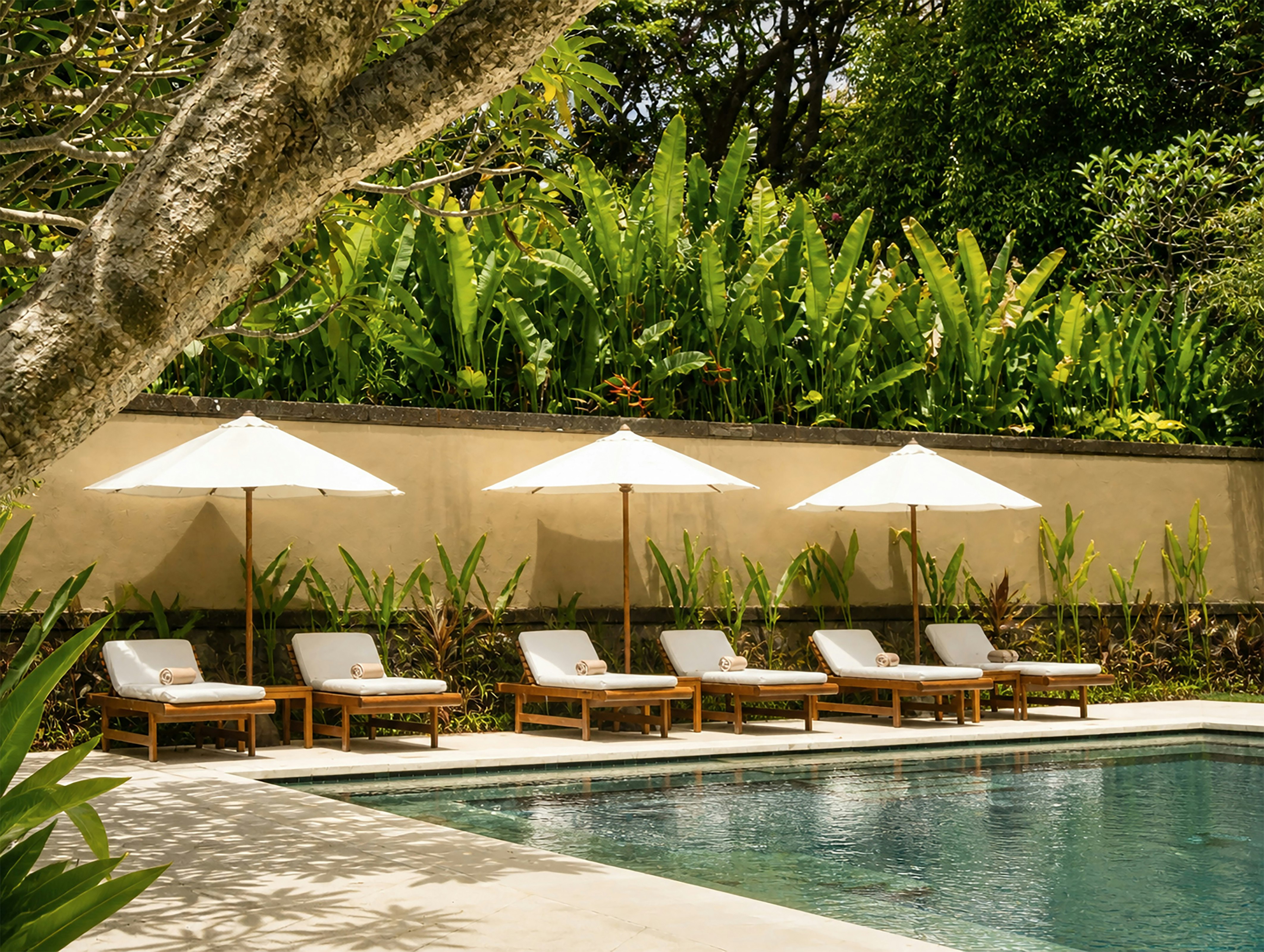 REVIVO Wellness Resort 25/45