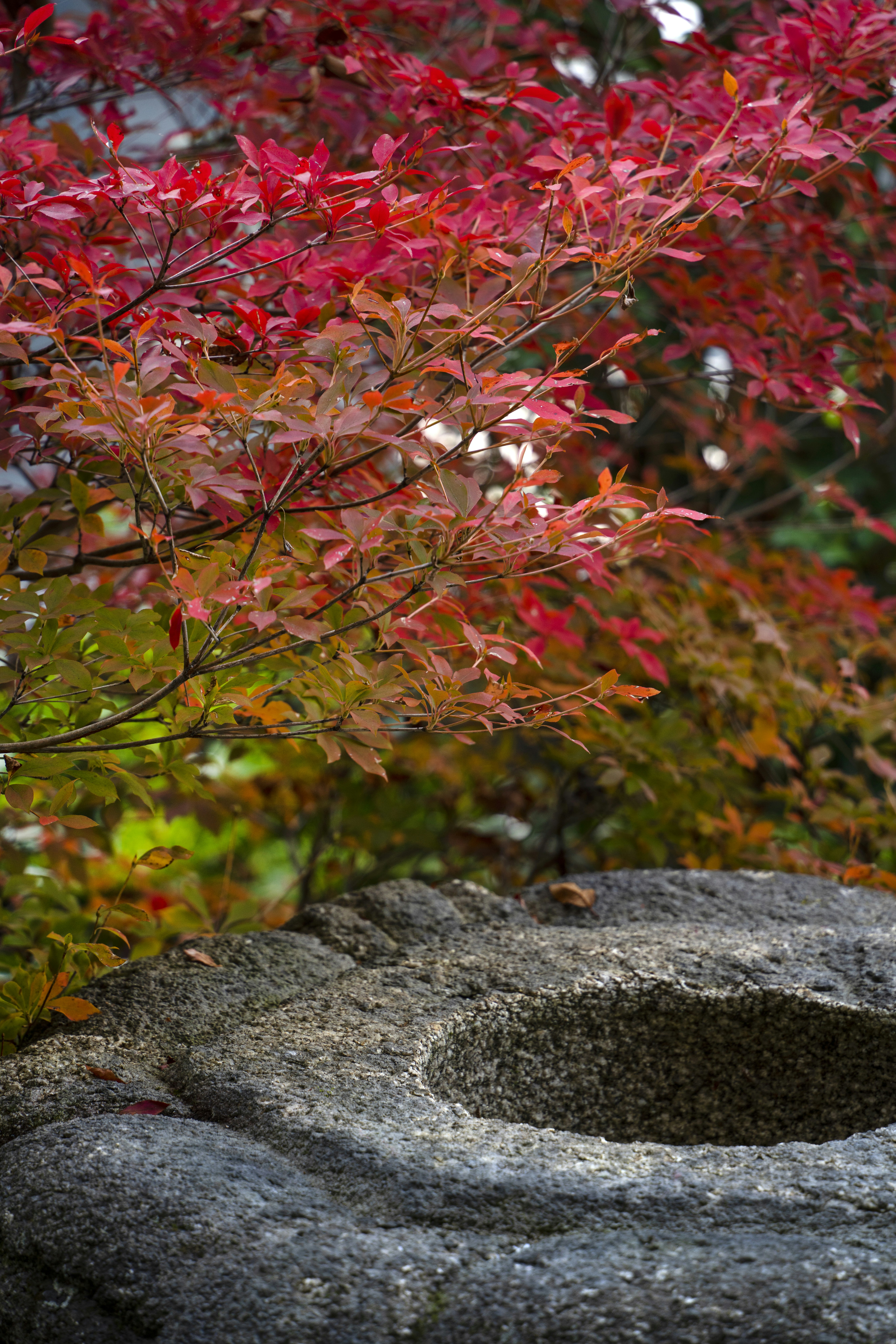 ROKU Kyoto, LXR Hotels & Resorts 69/78