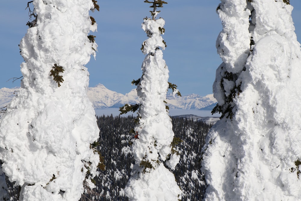Meadow Lake Resort 47/50