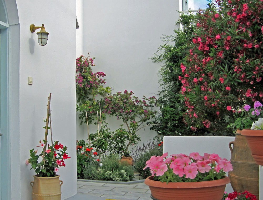 Zorzis Hotel 7/50