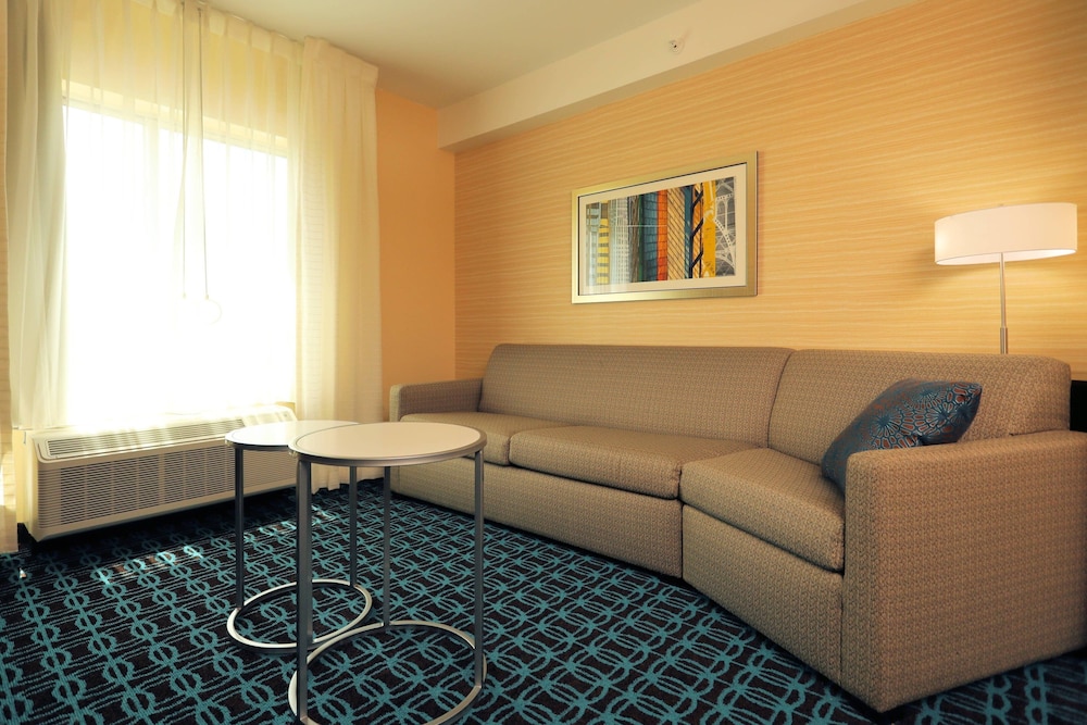 Fairfield Inn And Suites By Marriott Greenville 22/31