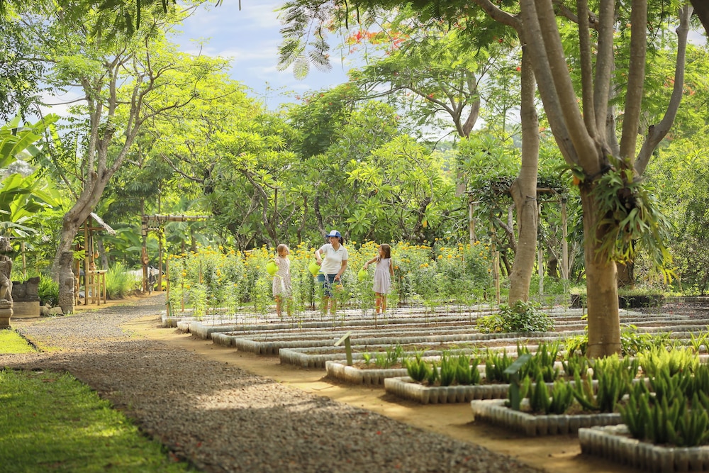 Padma Resort Legian 43/50