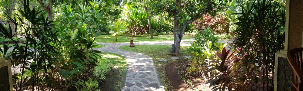 Mango Tree Inn 33/47