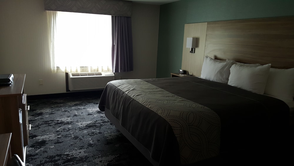 Aartpark Hotel Inn At Lewiston 10/37