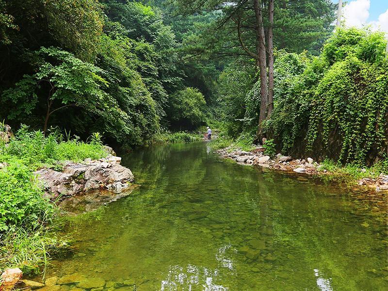 Gapyeong Animal Caravan Pension 30/37