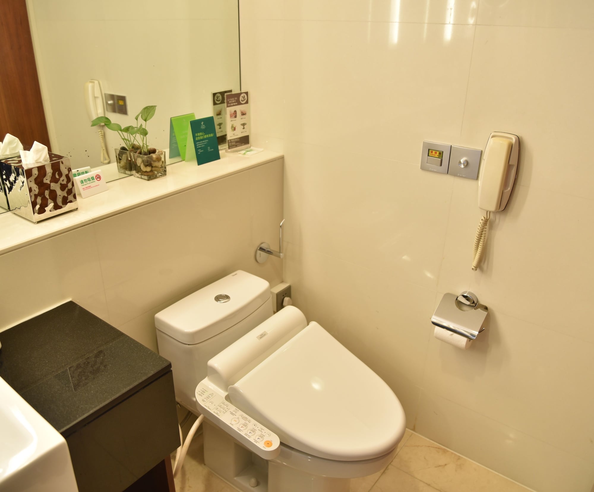غرفة قياسية بسرير كينج، Holiday Inn Pudong 5/6