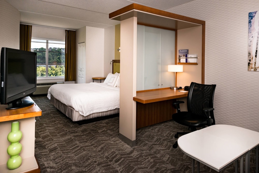 Springhill Suites Pittsburgh Southside Works 6/33