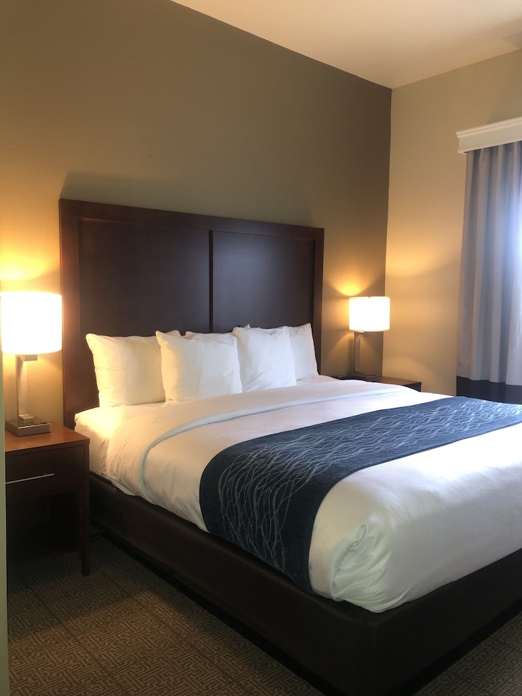 Comfort Inn & Suites Ukiah Mendocino County 12/34