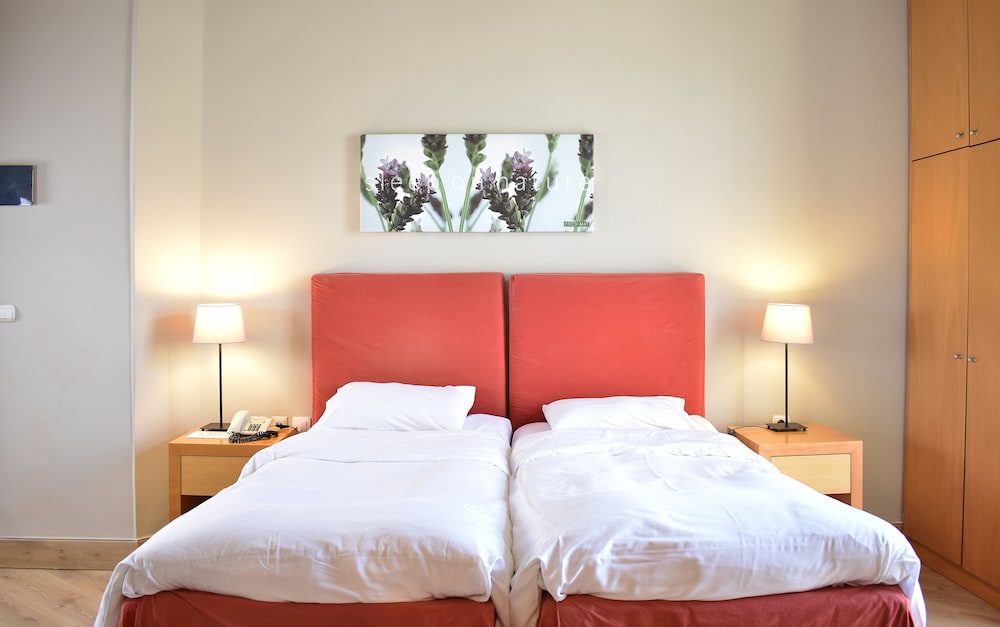 Le Palace Hotel 24/41