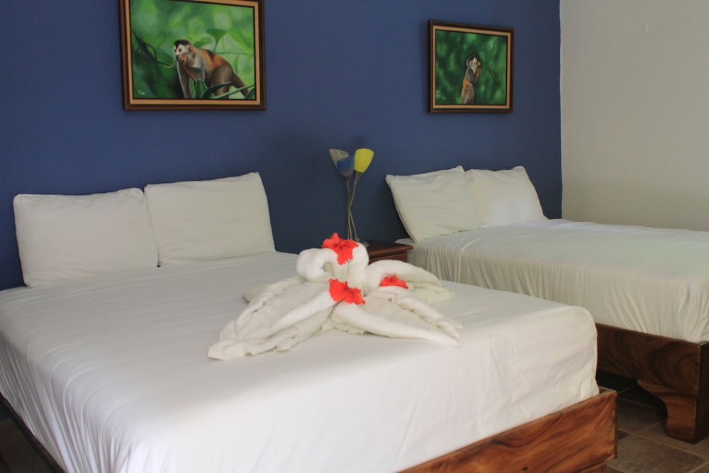 Hotel La Posada And Jungle 44/74
