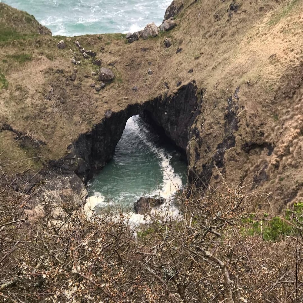 Cadgwith Cove Inn 36/50