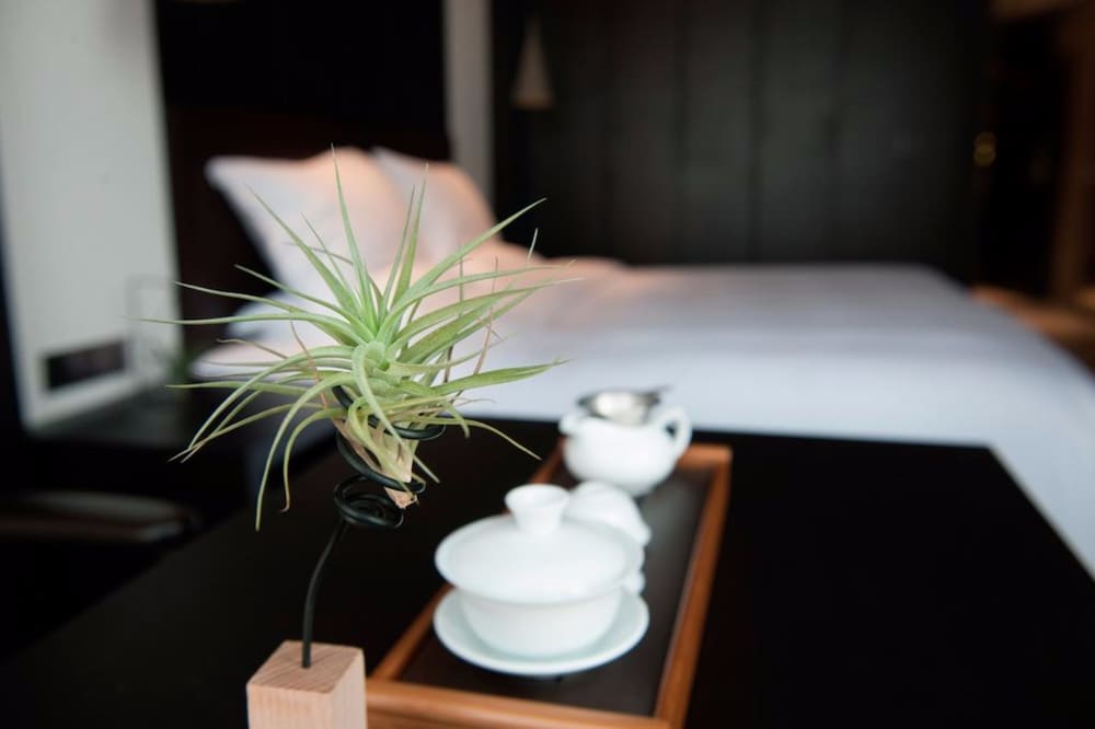 Xi'an Eastern House Boutique Hotel 35/50
