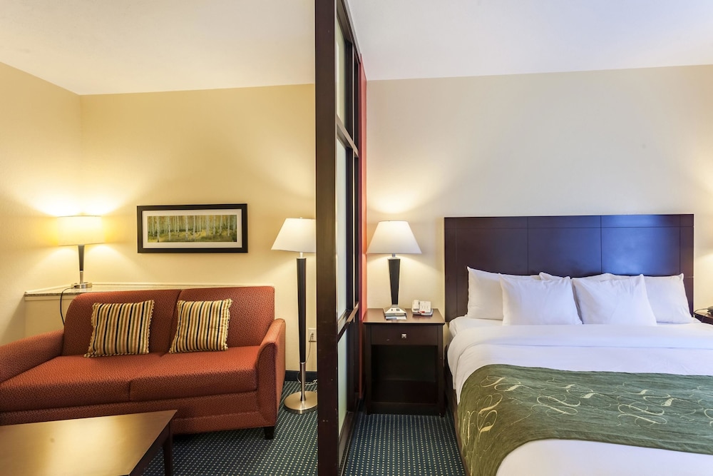 Comfort Suites East 13/42