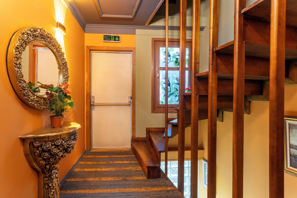 Wonder Wood Hotel 5/59