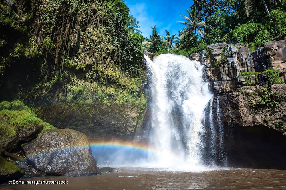 Ubud Valley Boutique Resort 54/64