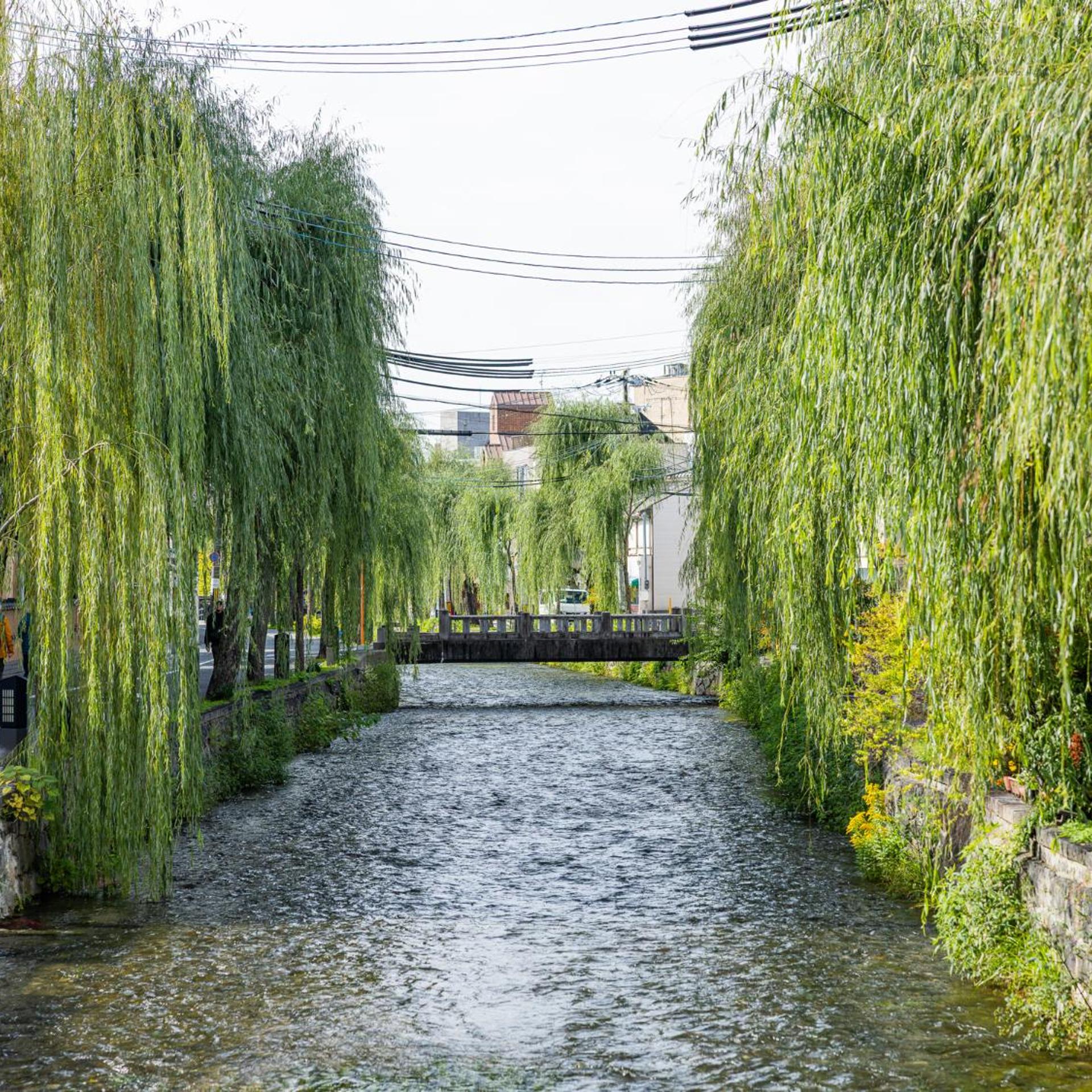 AKEKURE Kyoto Shirakawa 41/50