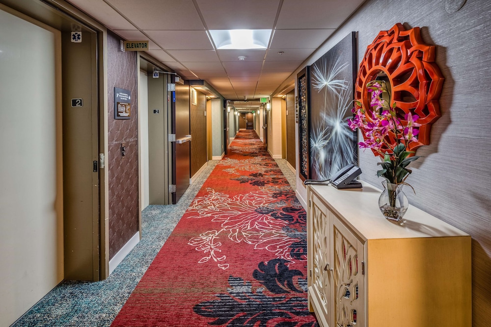 Hampton Inn San Francisco Airport 1/61