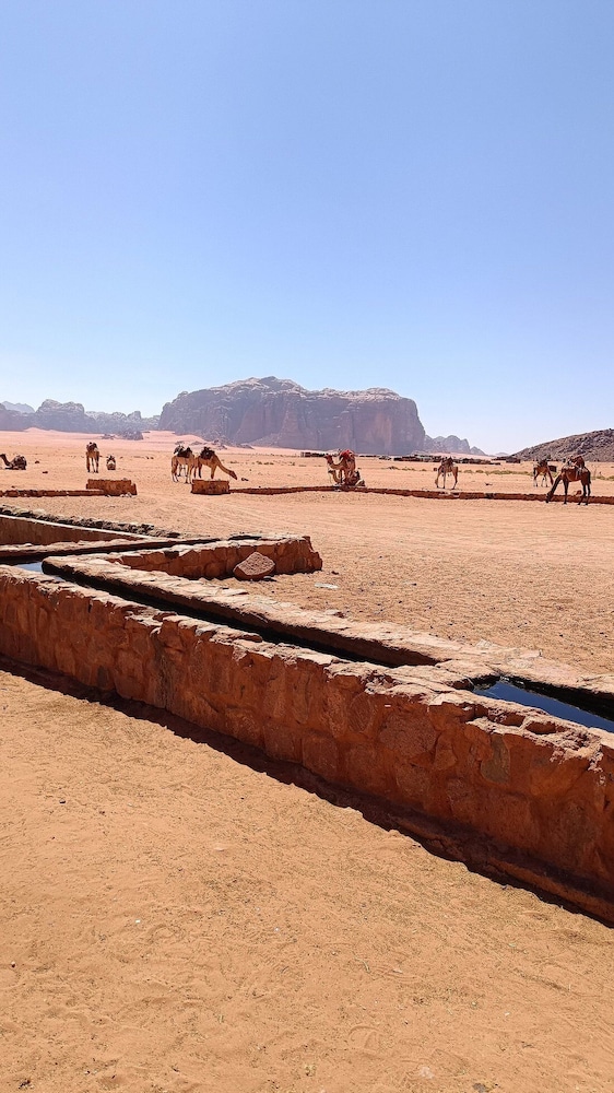 Wadi Rum Classic Camp 36/50