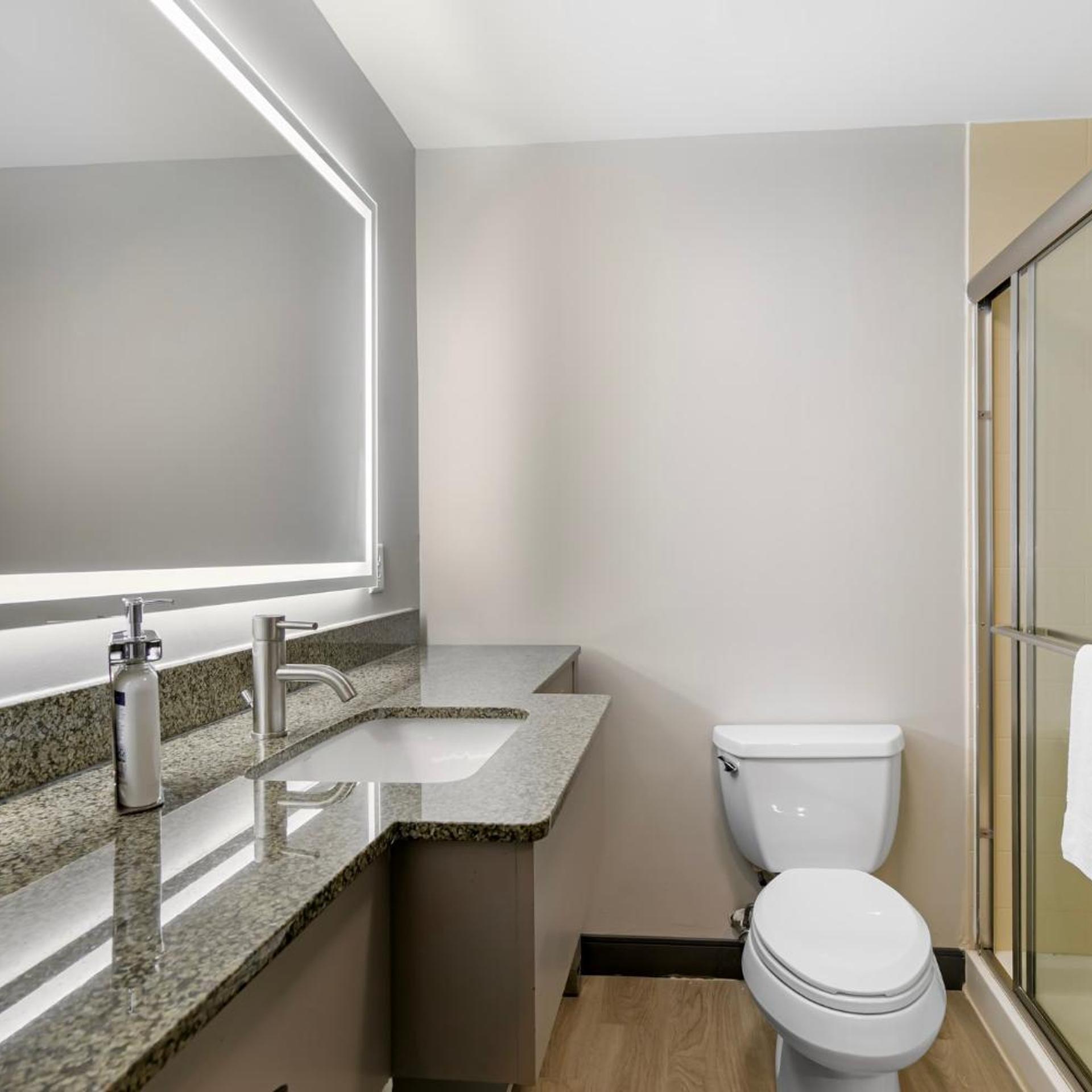 جناح ديلوكس بسرير كينج، Holiday Inn Express & Suites Clemson - Univ Area 4/4