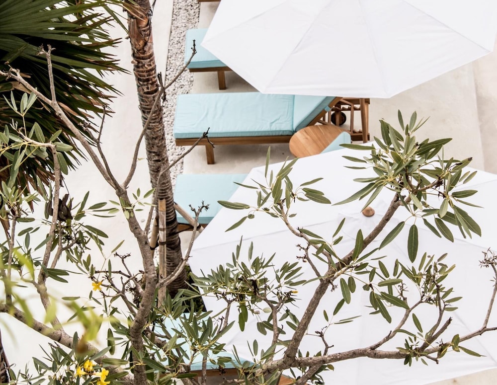 Kosone Hostel 45/47