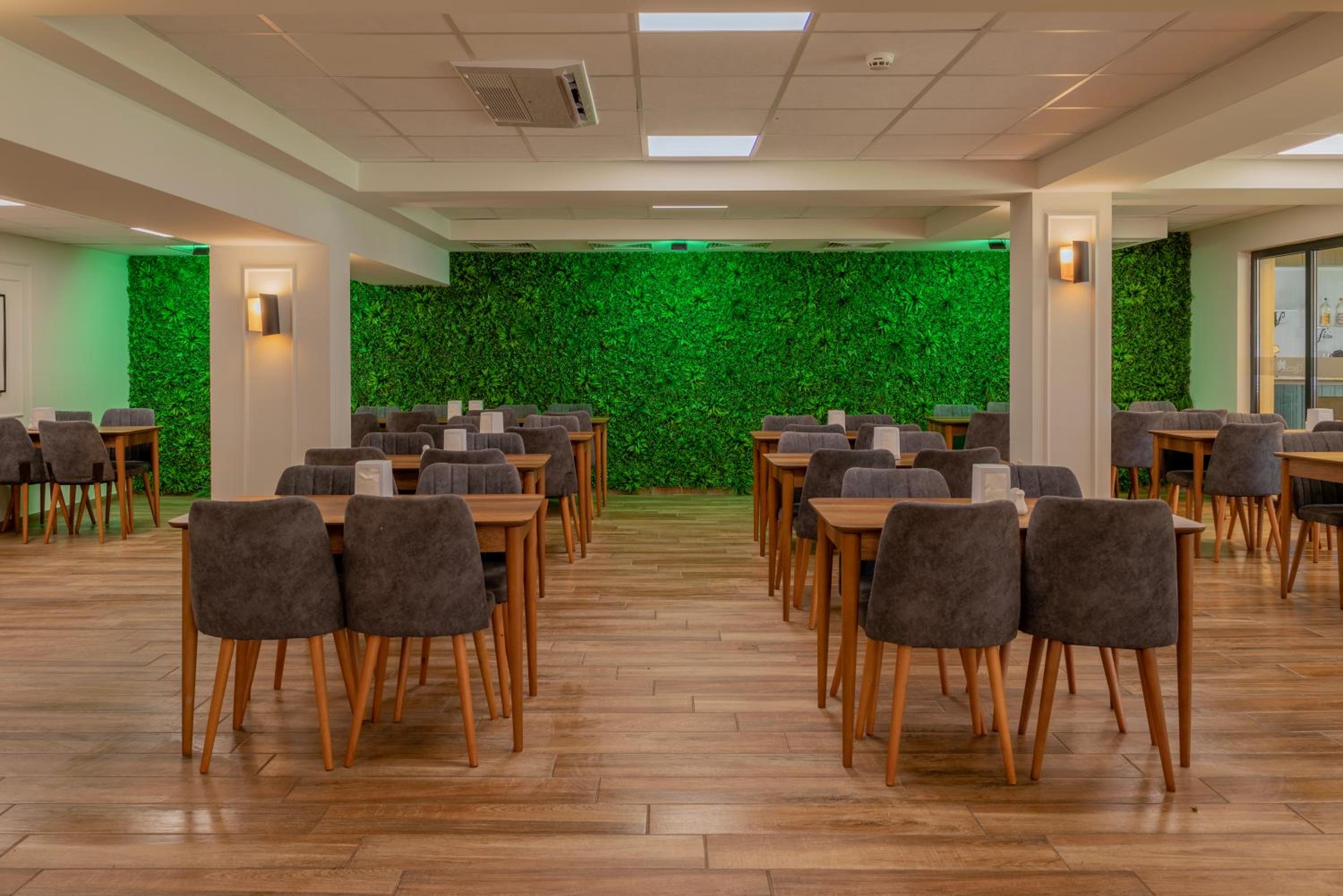Queen Nelly Park 32/50