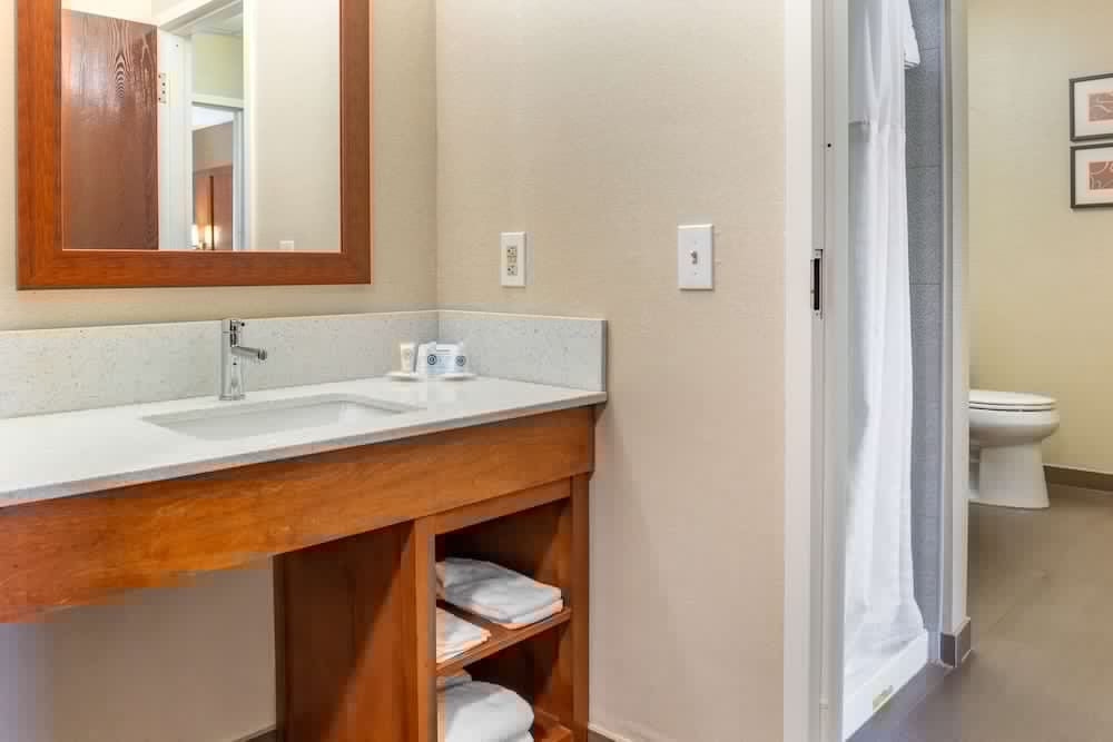 Comfort Suites Dover University Area 13/36