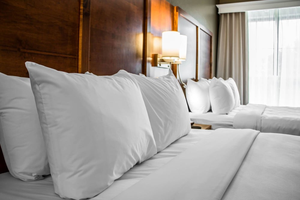 Comfort Suites Hartville-North Canton 15/43