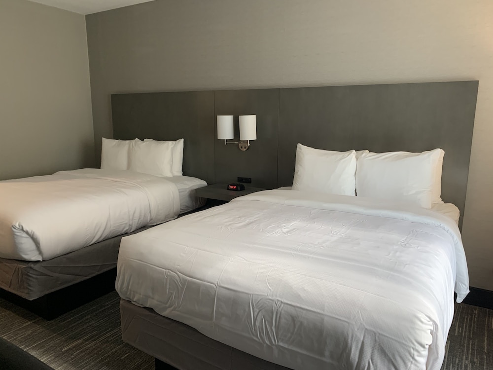 Comfort Inn & Suites Olive Branch Old Towne 11/39