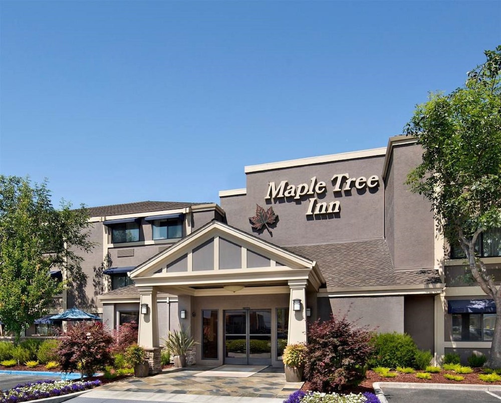 Maple Tree Inn 4/40