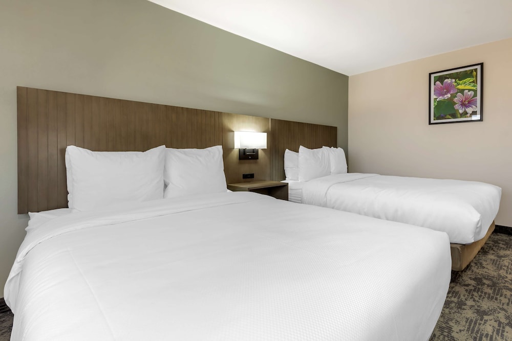 Standard, 2 Queen Beds