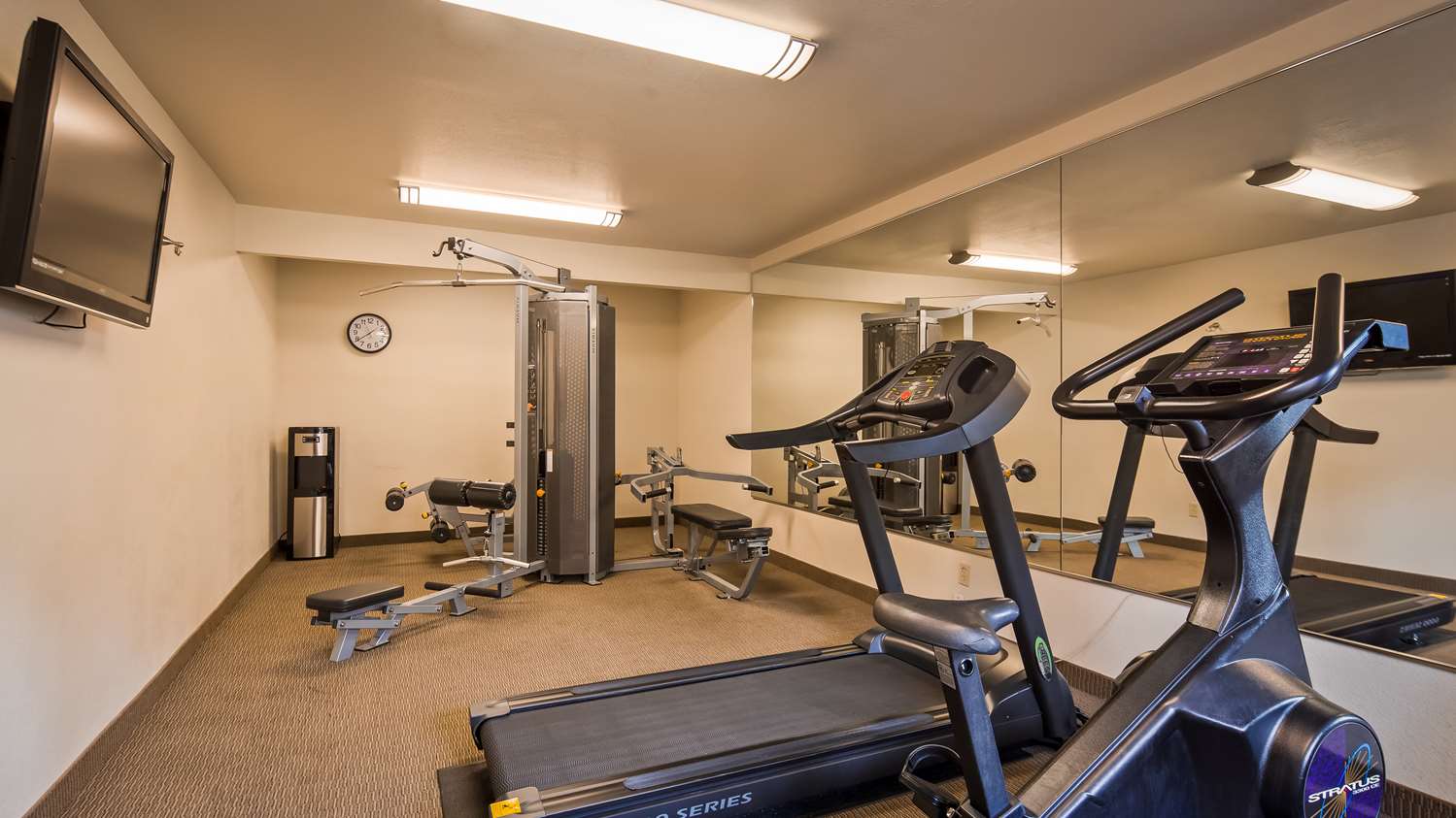 Best Western Palm Court Inn 5/17