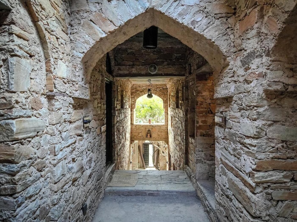 Fort Dadhikar, Alwar 21/50