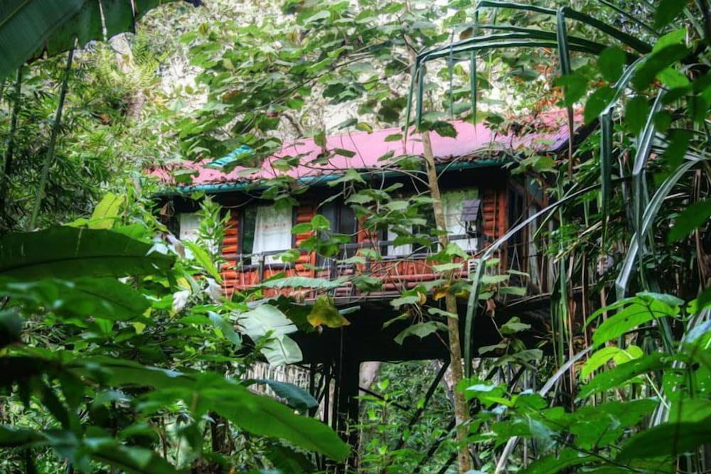 Khao Sok Tree House 42/50