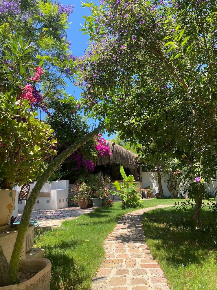 Moy Otel Alaçati 58/71