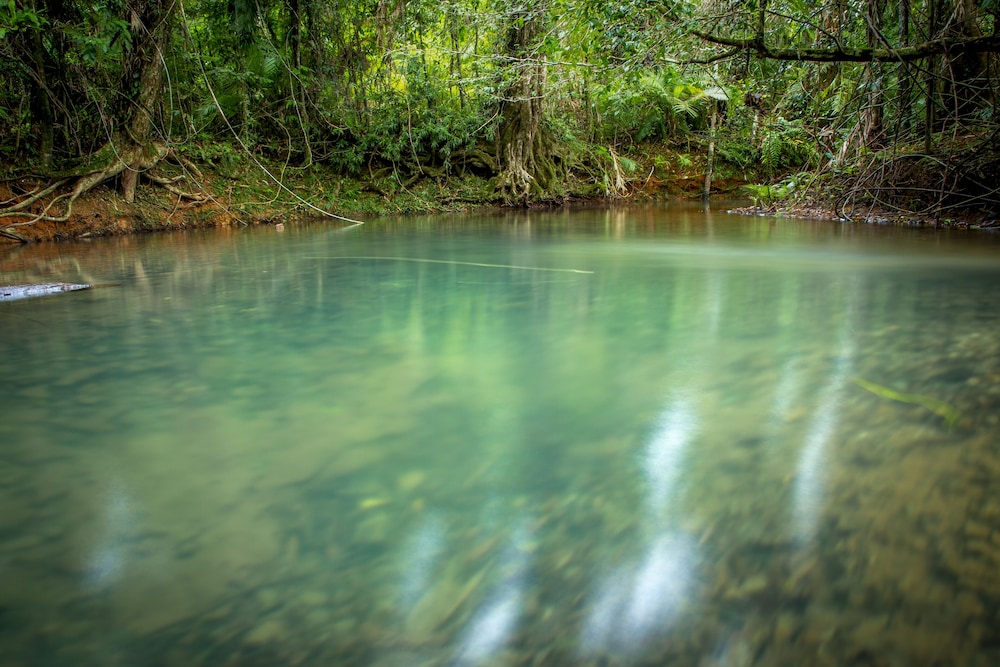 Daintree Wilderness Lodge 23/34