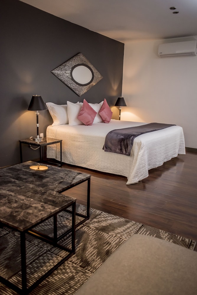 Clarum 101 53/80
