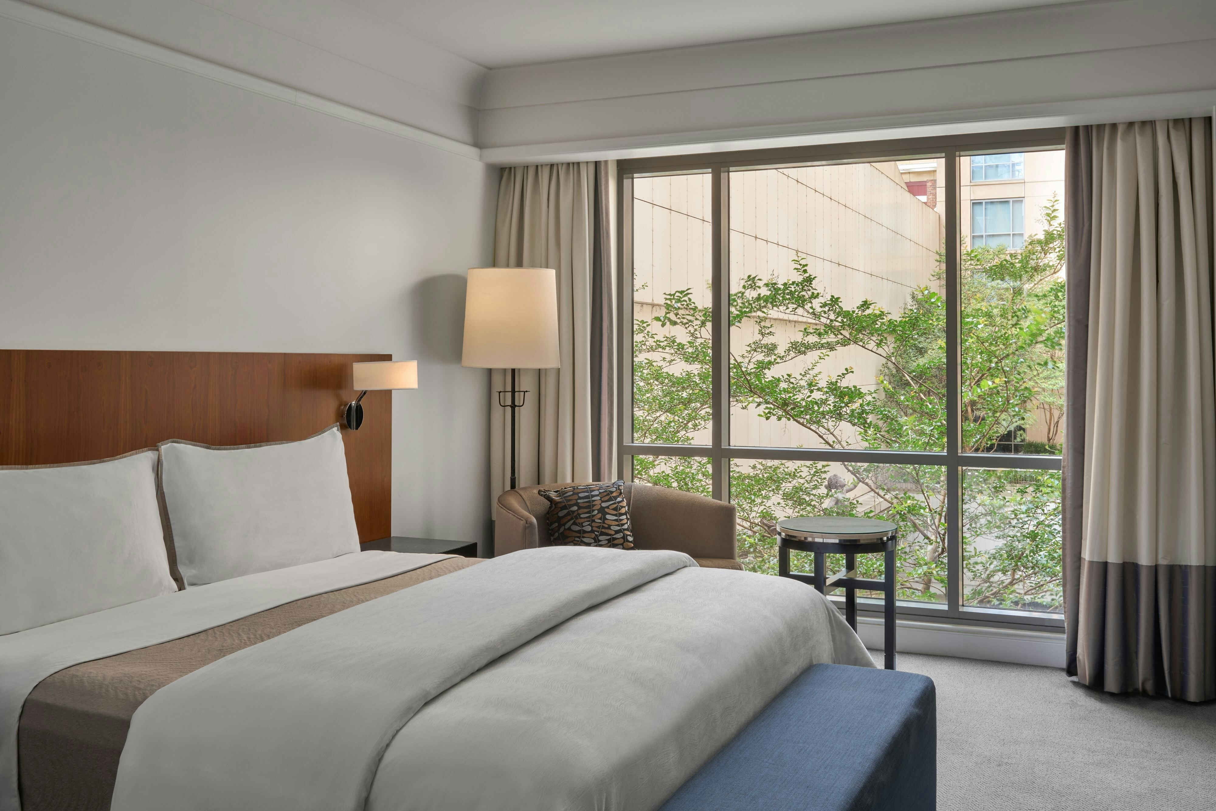 Room, King Bed