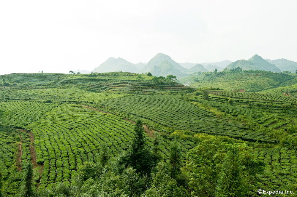 Muong Thanh Lai Chau Hotel 44/50