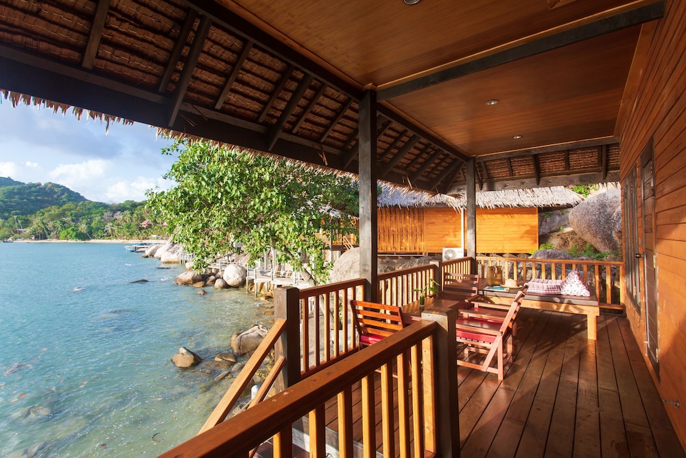 Freedom Beach Resort 25/50